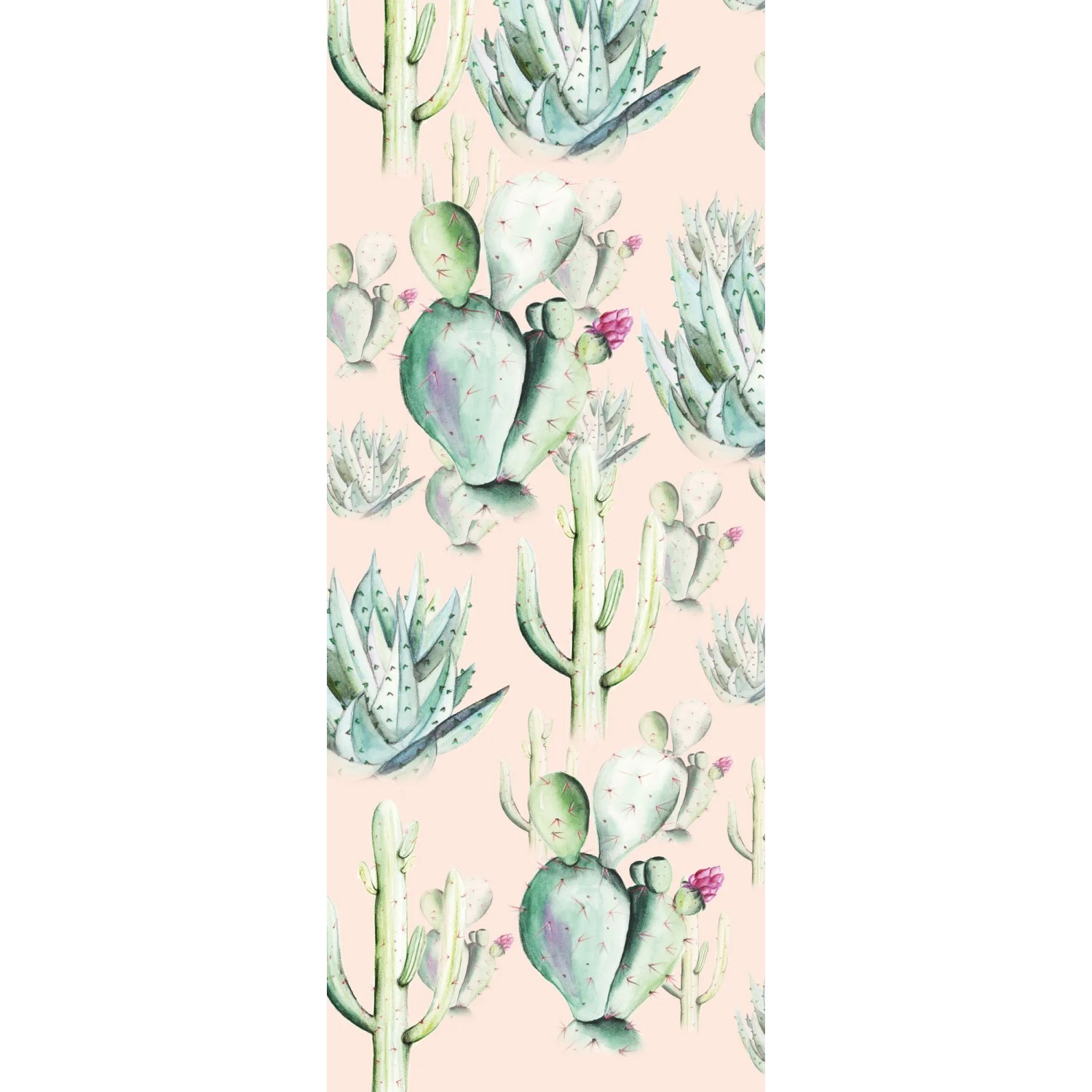 E-shop Komar Vliesová fototapeta Cactus Rose 100 x 250 cm