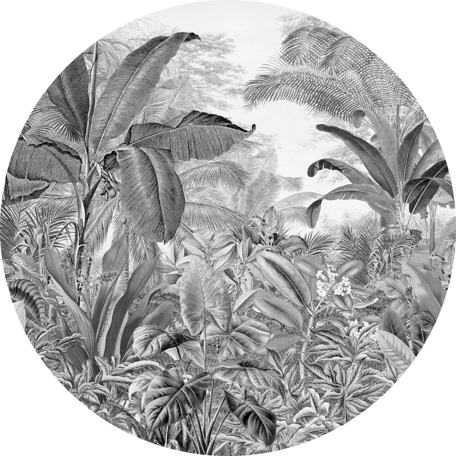 E-shop Komar Samolepiaca vliesová fototapeta Dot Wild Woods pr. 125 cm