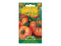 Gardenie Rajčiak kolíkový obrí BRUTUS