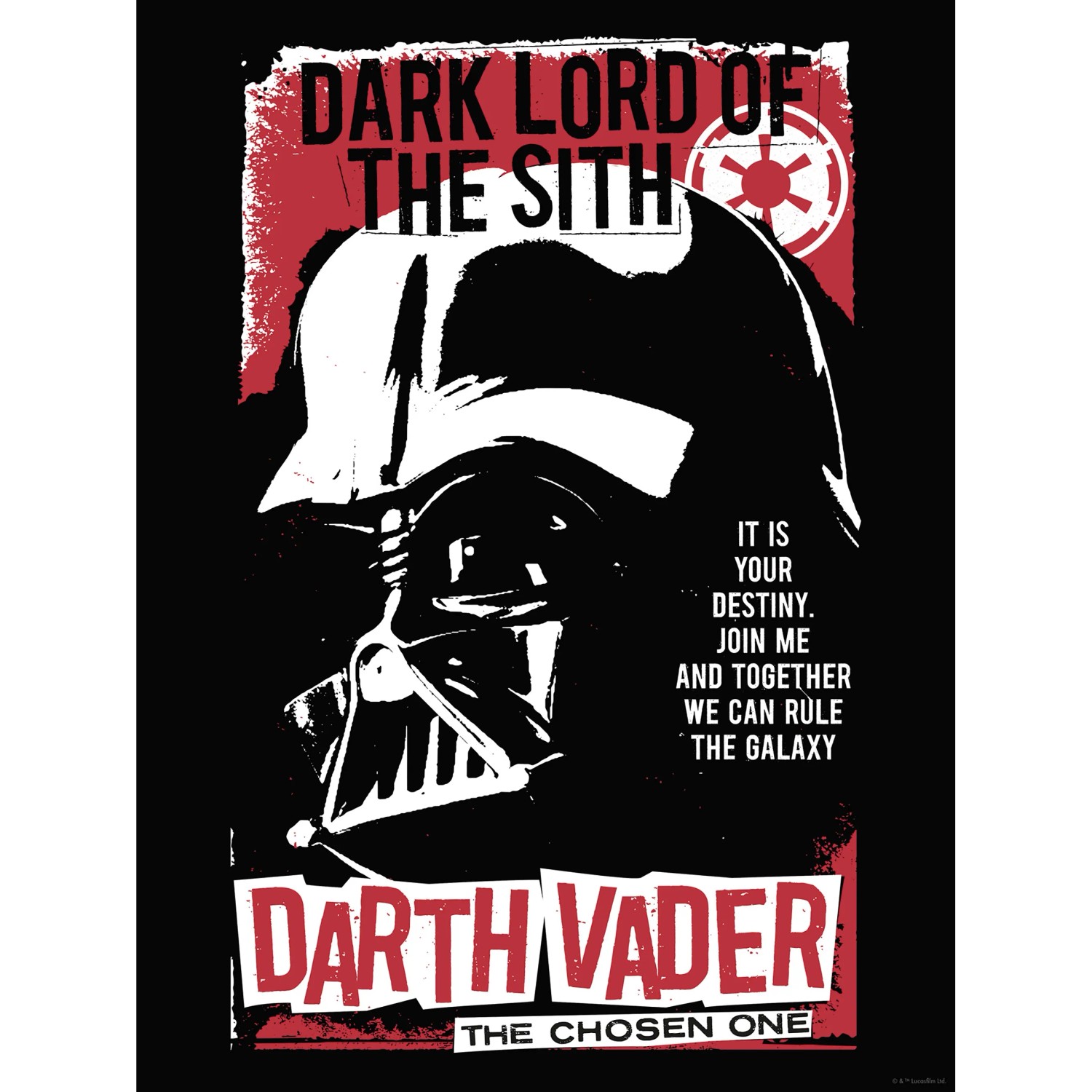 E-shop Komar Plagát Star Wars The Chosen One 30 x 40 cm
