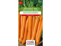 Semienka Mrkva obyčajná raná Amsterdammer (Daucus carota L.)