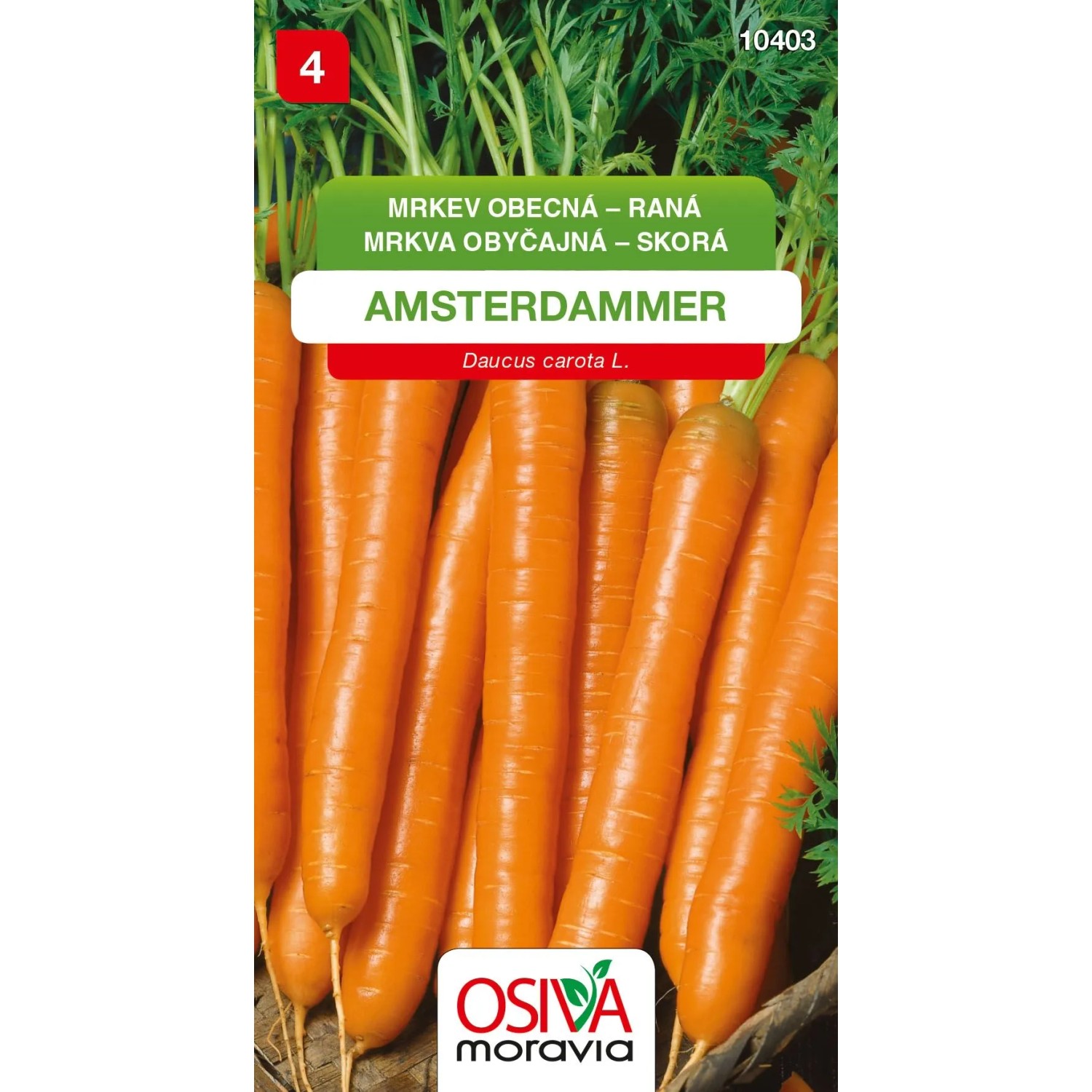 E-shop Semienka Mrkva obyčajná raná Amsterdammer (Daucus carota L.)