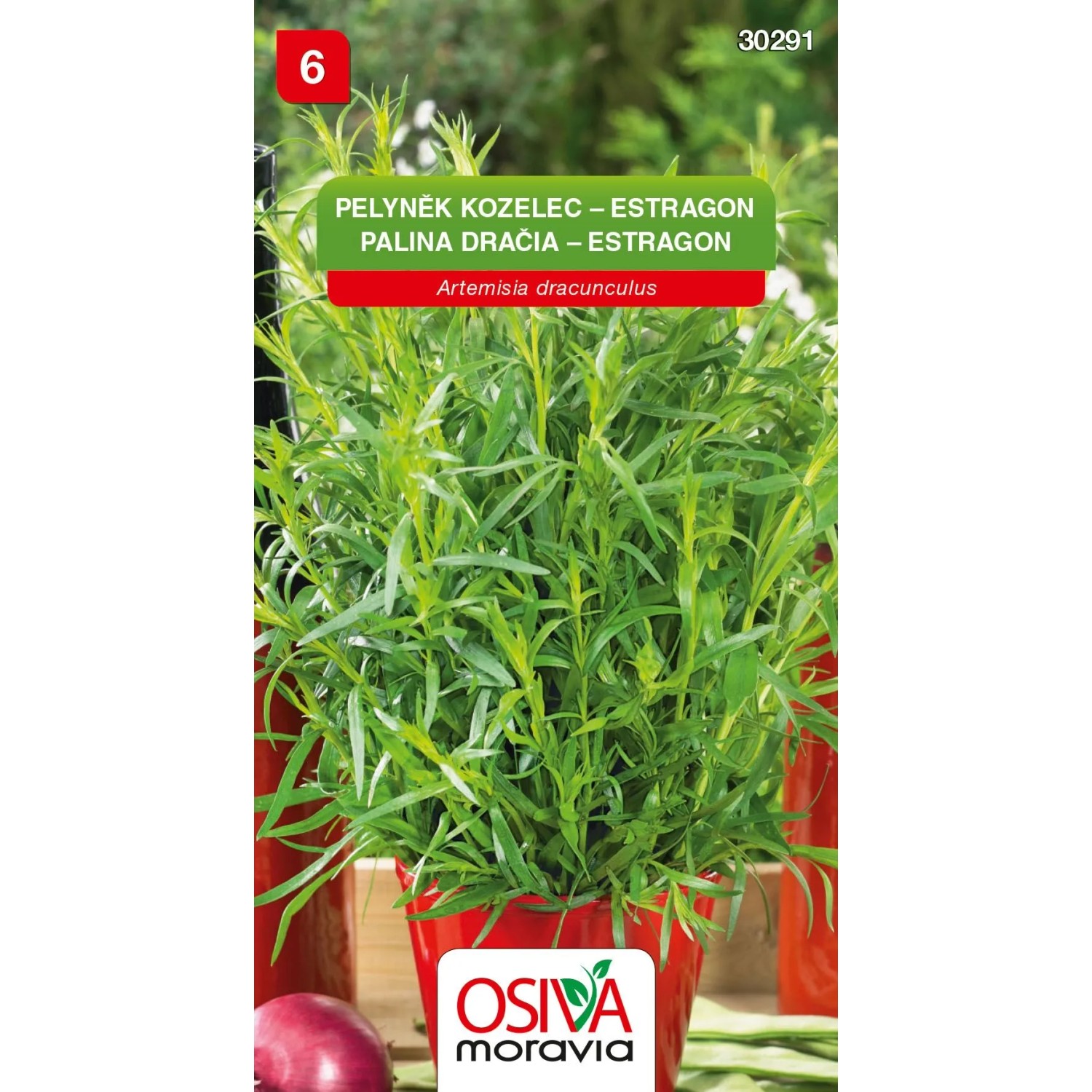 E-shop Osiva Moravia Semienka Palina dračia Estragon (Artemisia dracunculus)
