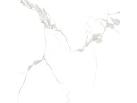 Dlažba Calcutta 60 x 60 cm