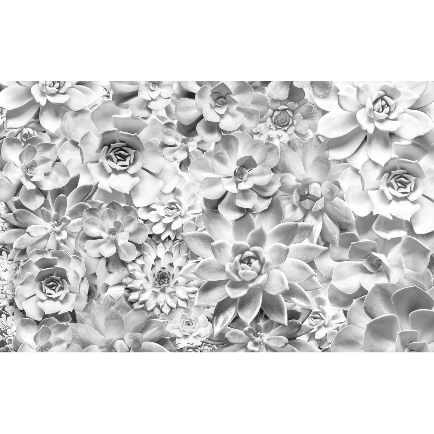E-shop Komar Vliesová fototapeta Shades Black and White 400 x 250 cm