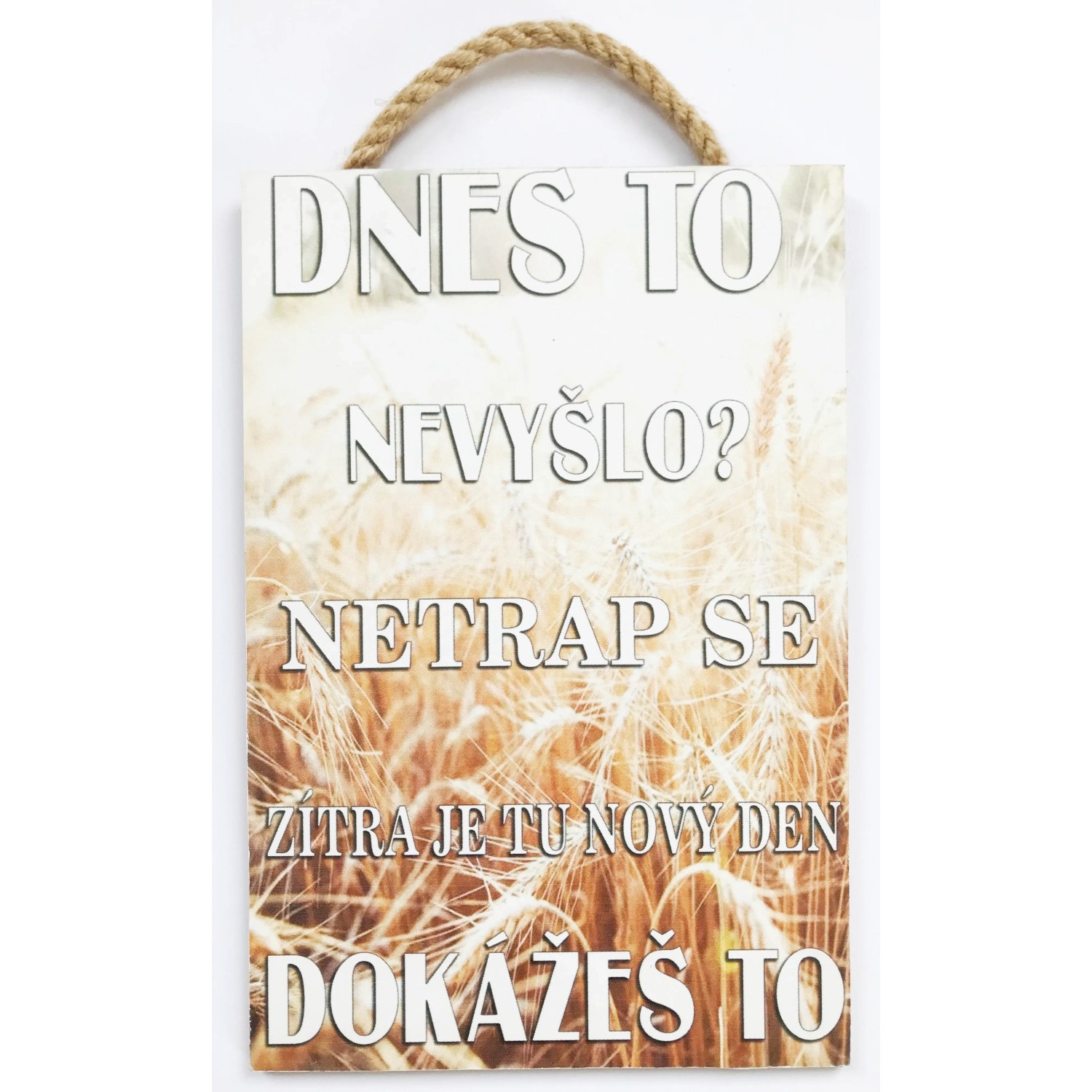 E-shop Bondecor Doskový obraz Free 20 x 30 cm