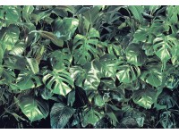 Komar Papierová fototapeta Verdure 368 x 254 cm