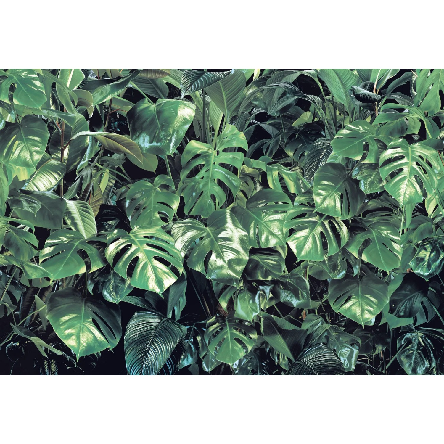 E-shop Komar Papierová fototapeta Verdure 368 x 254 cm