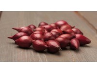 GardenSeed Premium Cibuľa sadzačka Red Karmen 300 g