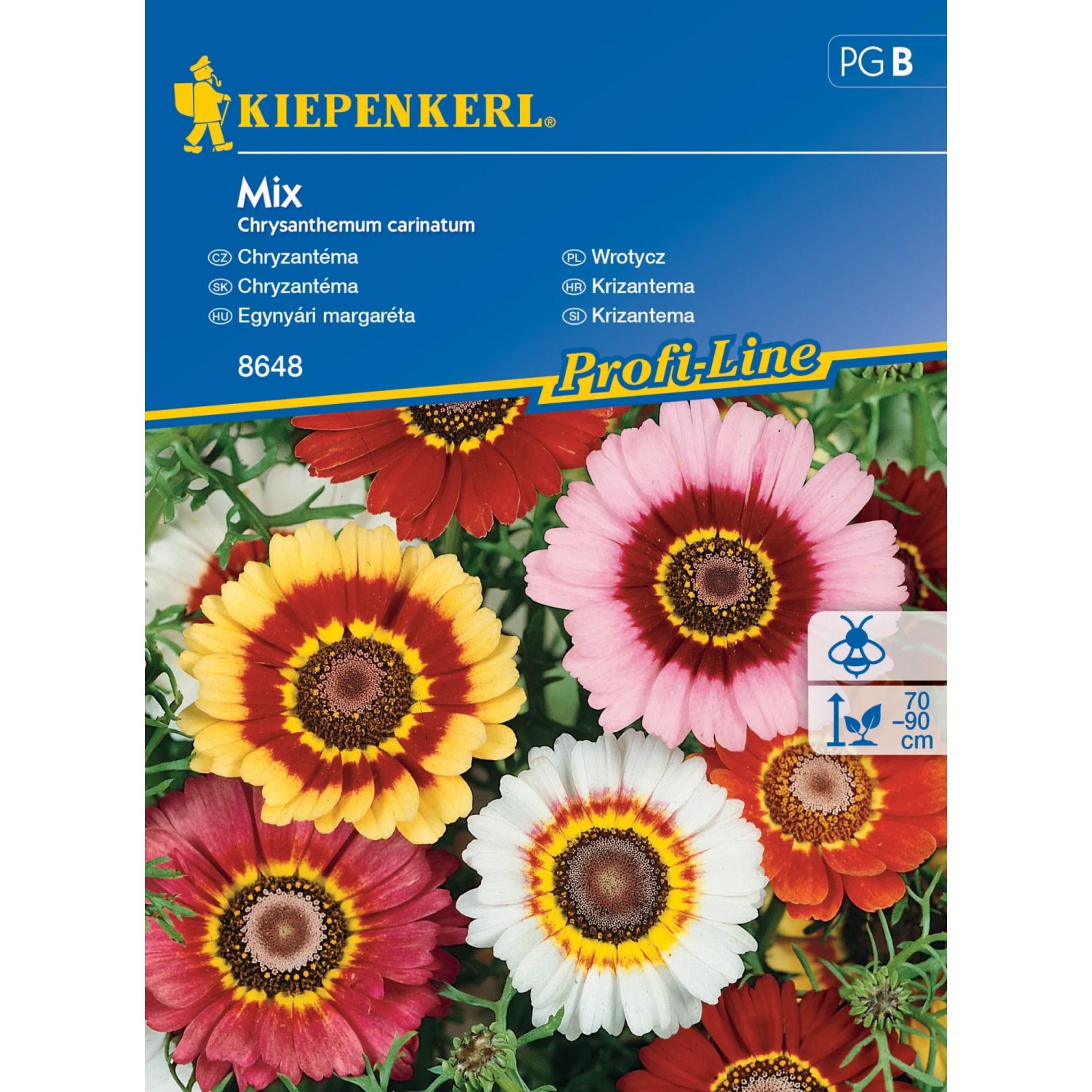 E-shop Kiepenkerl Semienka Chryzantéma mix