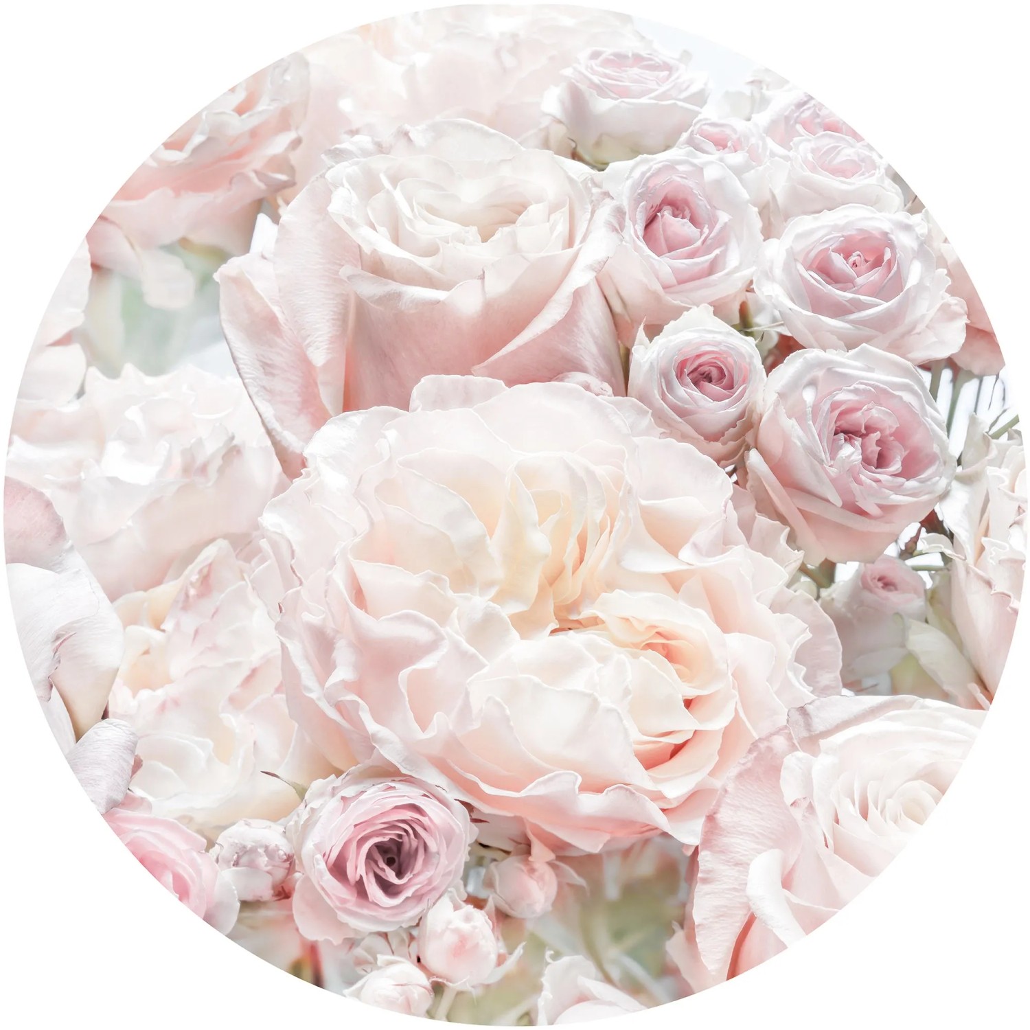 E-shop Komar Samolepiaca vliesová fototapeta Dot Pink and Cream Roses pr. 125 cm