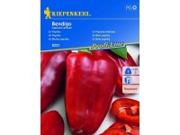 Kiepenkerl Semená Paprika Bendigo