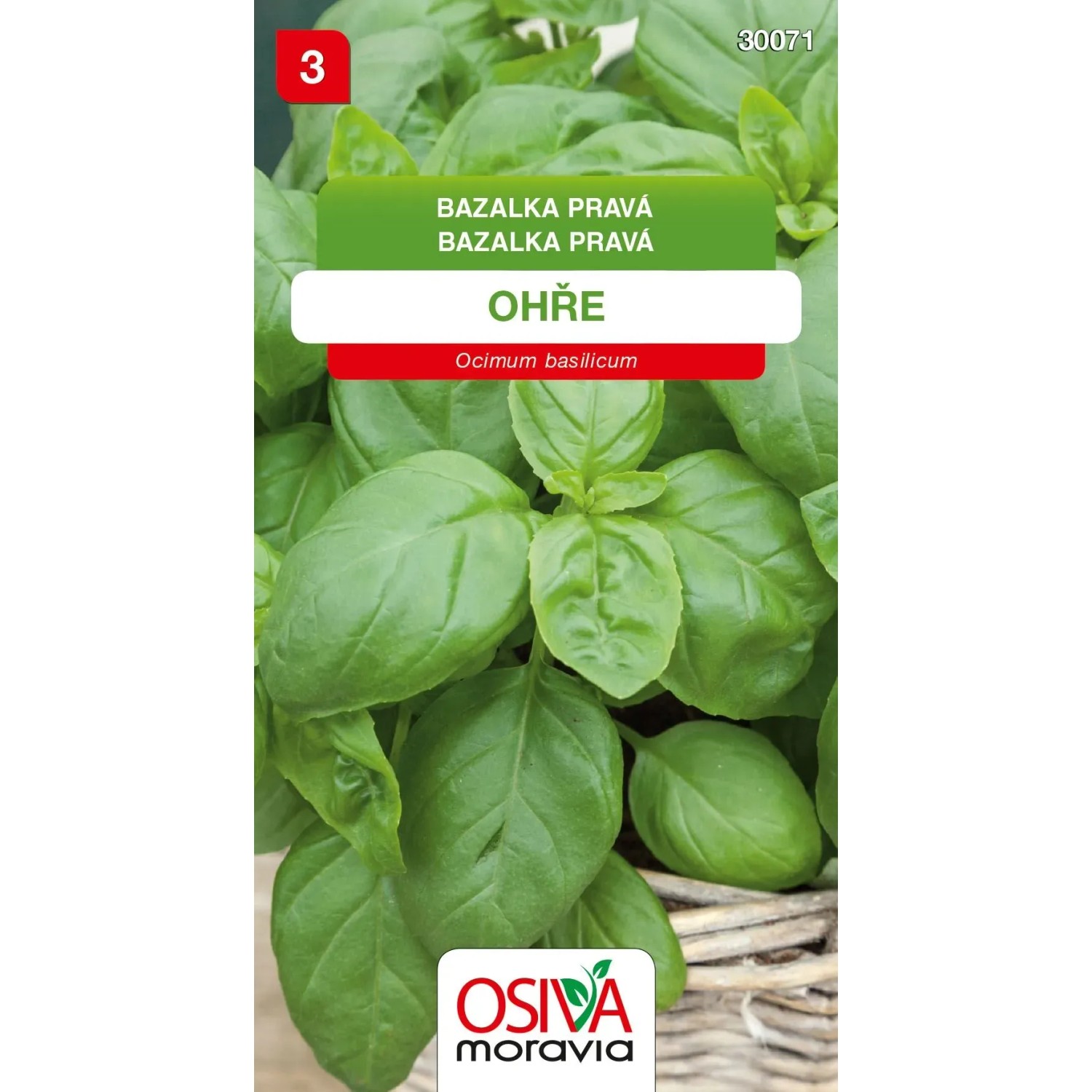 E-shop Osiva Moravia Semienka Bazalka pravá Ohre (Ocimum basilicum)