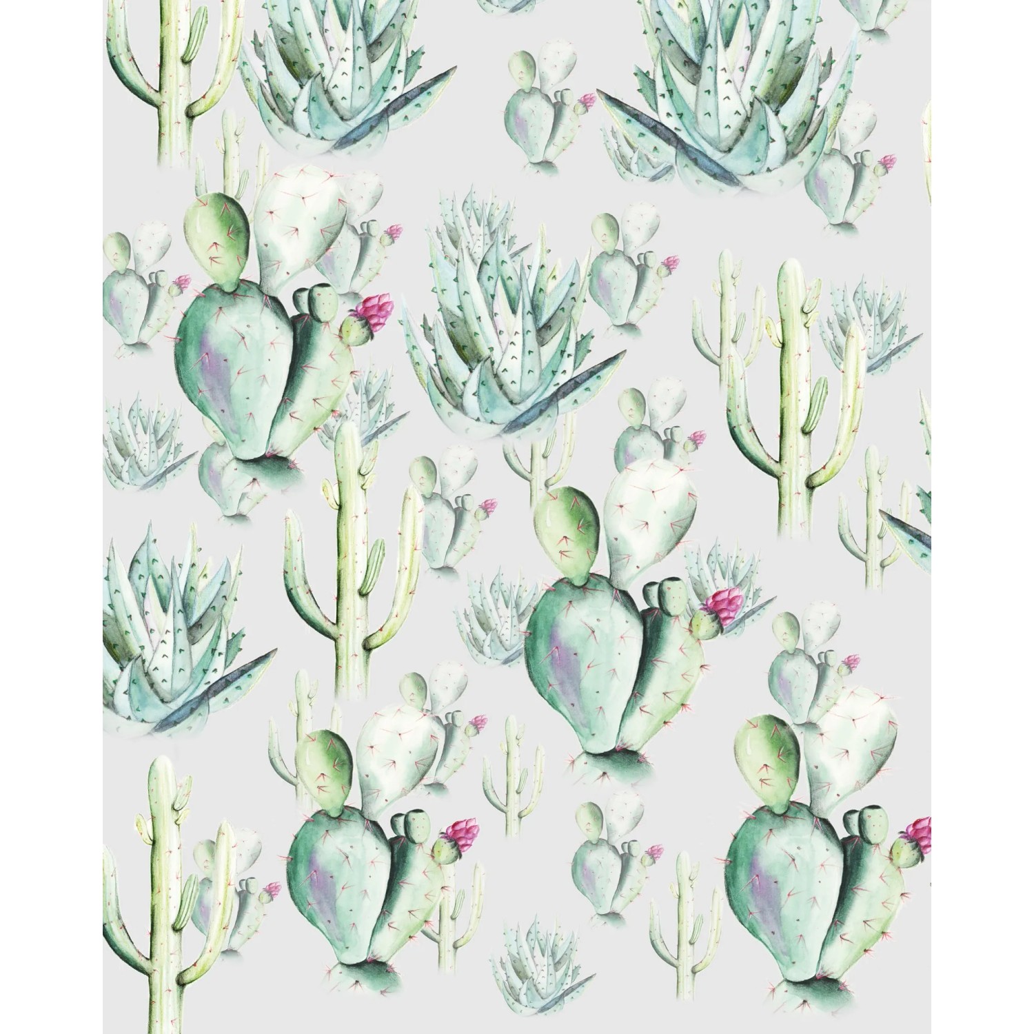 E-shop Komar Vliesová fototapeta Cactus Grey 200 x 250 cm