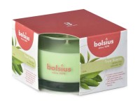 Bolsius Vonná sviečka v skle Green Tea 90 x 63 mm