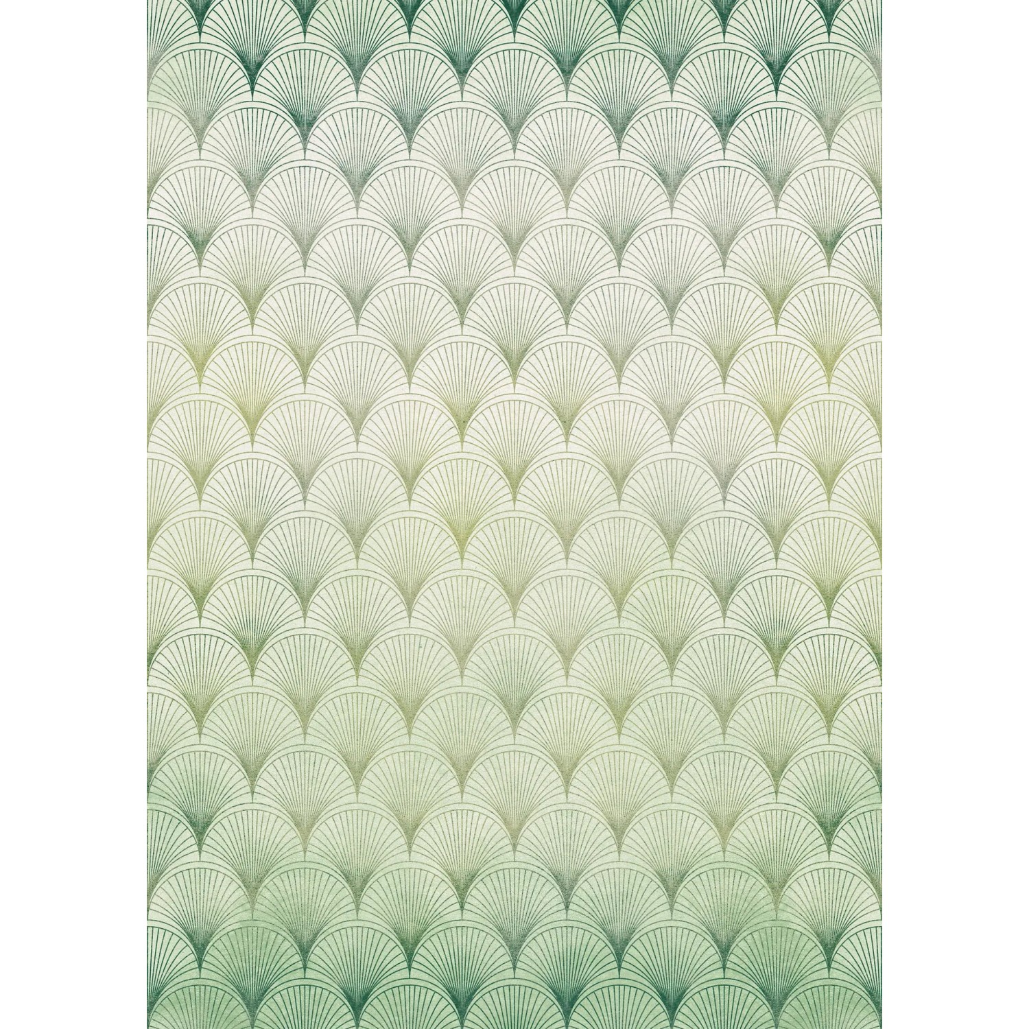 E-shop Komar Vliesová fototapeta Écailles 200 x 280 cm