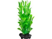 Tetra Rastlina do akvária Hygrophila S 15 cm Tetra Rastlina do akvária Hygrophila S 15 cm