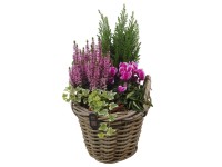 Jesenné aranžmány (vres/brečtan/zemiak/cyprus) v prútenom košíku, pr. 23 cm