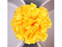 NOHEL GARDEN Umelá rastlina kvet karafiátu žltý pr. 9 cm