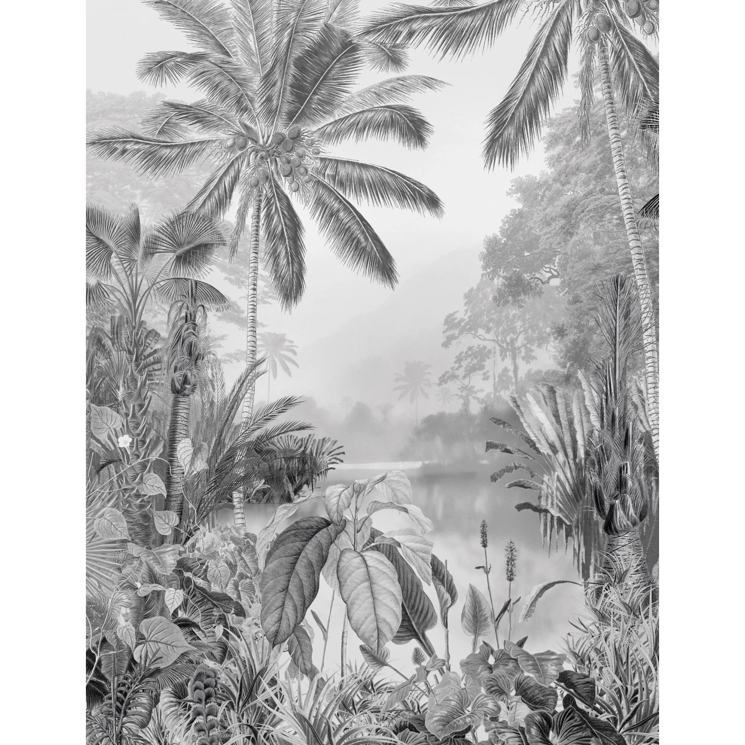 E-shop Komar Vliesová fototapeta Lac Tropical Black & White 200 x 280 cm