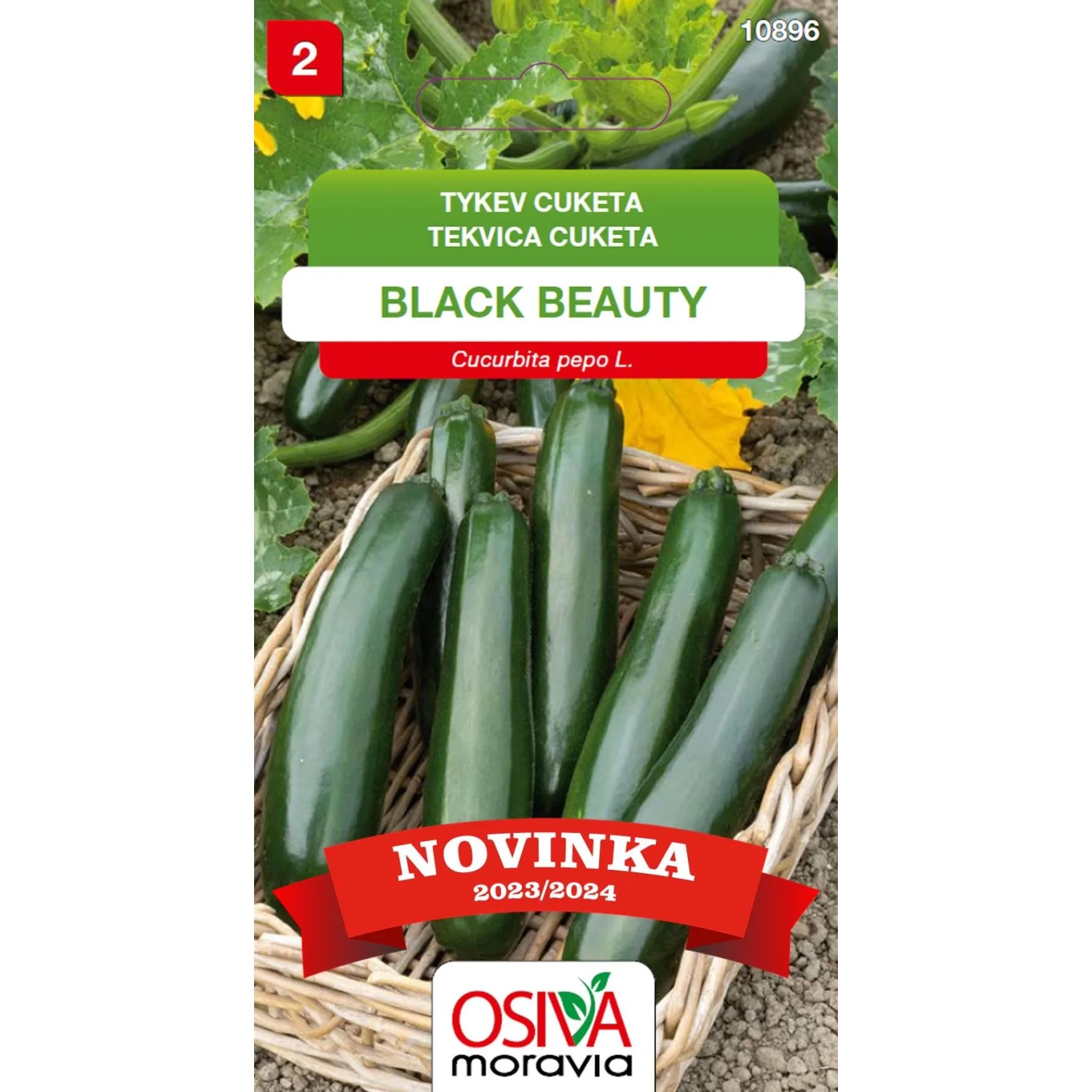 E-shop Aros Tekvica cuketa (Cucurbita Pepo) Black Beauty, semienka 10 ks