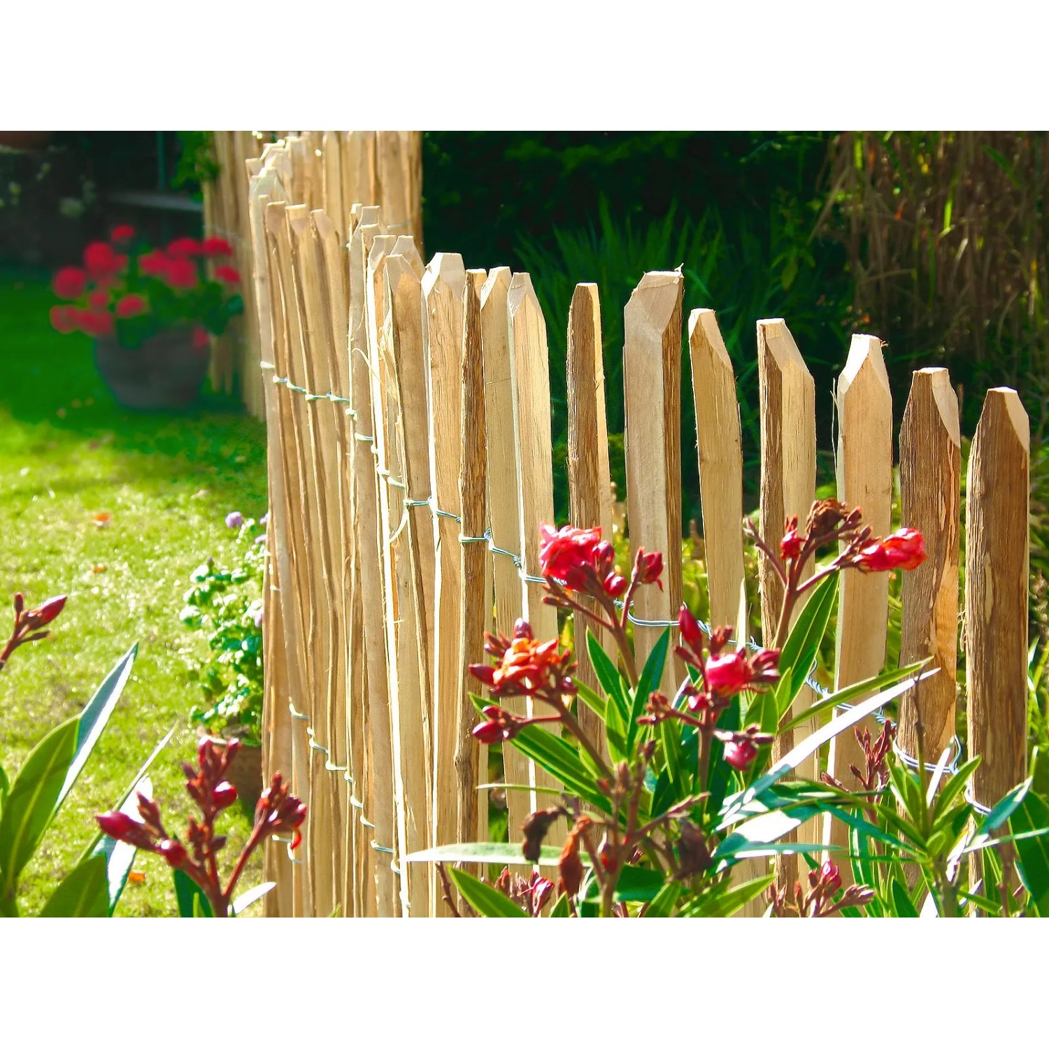 E-shop Floraworld Plankový záhradný plot, lieska prírodná, 4-5 cm, 500 x 90 cm