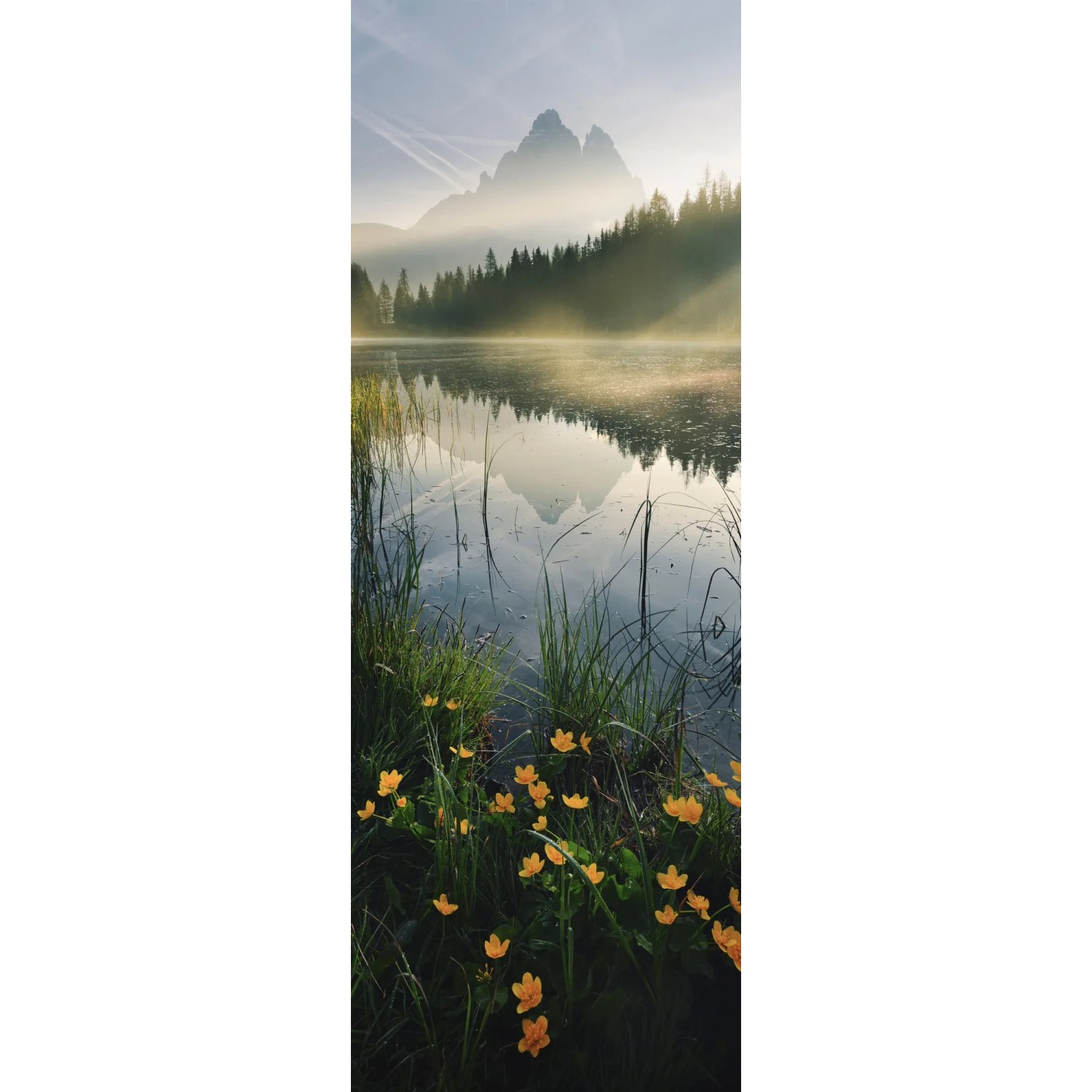 E-shop Komar Vliesová fototapeta Morning Mist 100 x 280 cm