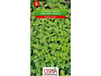 Osiva Moravia Semienka Pamajorán/Oregano (Origanum vulgare)