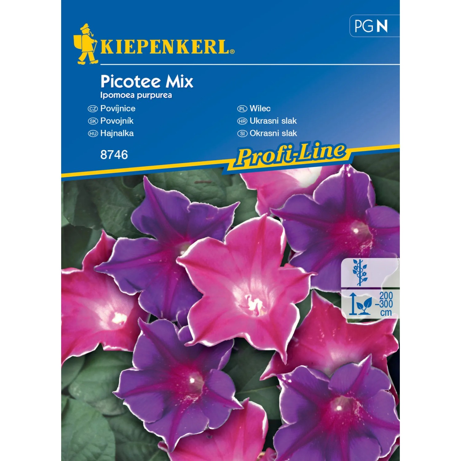 E-shop Kiepenkerl Semienka Povojnica Picotee mix