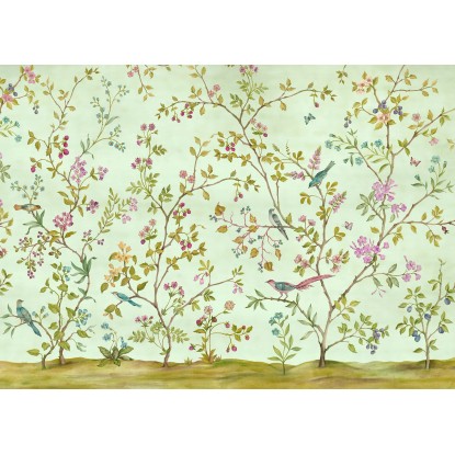 Komar Vliesová fototapeta Oiseaux du Paradis 350 x 250 cm
