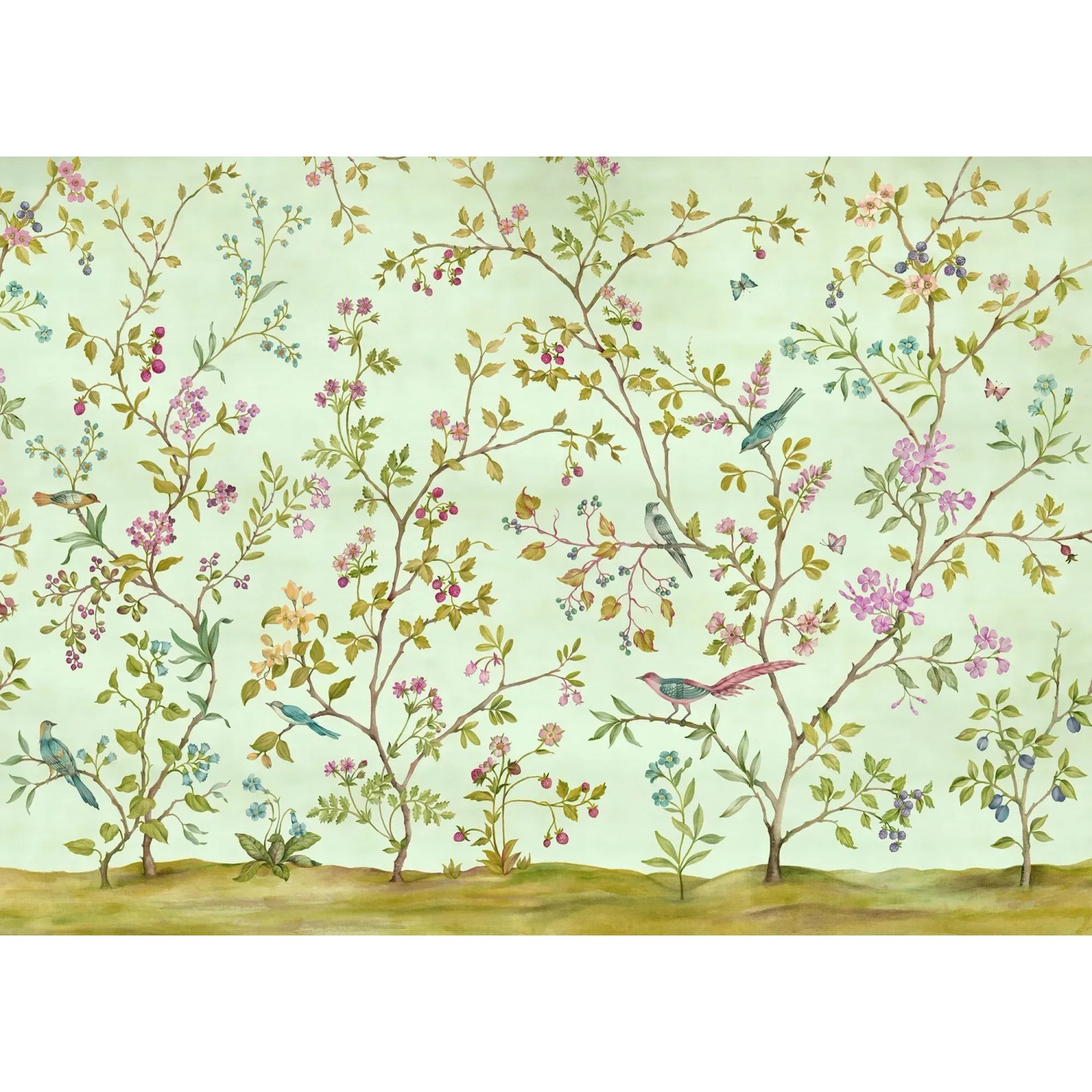 E-shop Komar Vliesová fototapeta Oiseaux du Paradis 350 x 250 cm