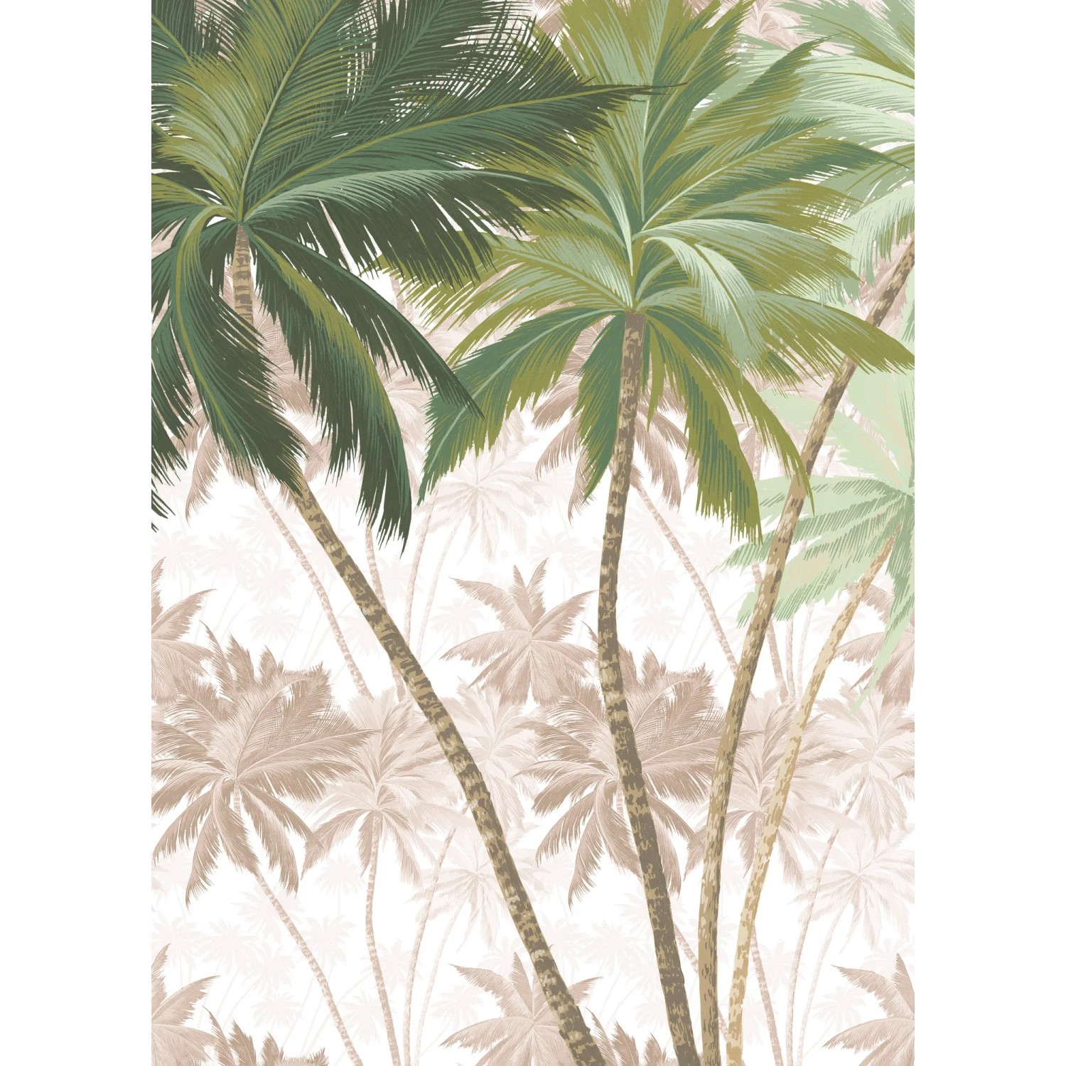 E-shop Komar Vliesová fototapeta Palmera 200 x 280 cm