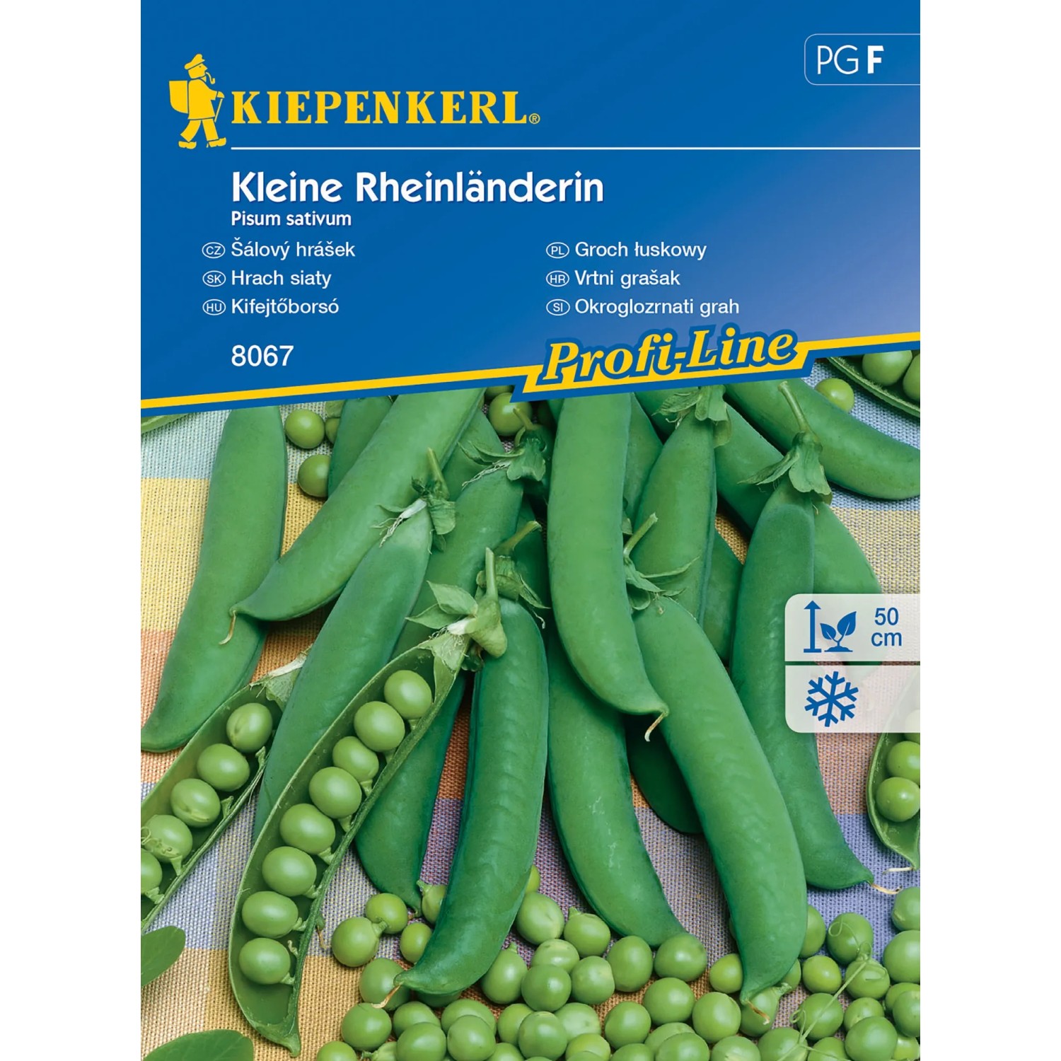 E-shop Kiepenkerl Šalový hrášok Kleine Rheinländerin
