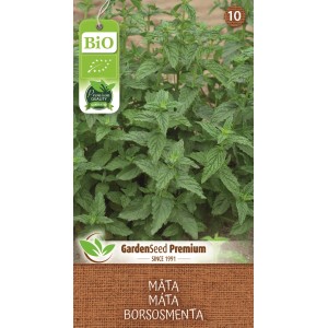 Semená bio mäty: Aromatické bylinky do záhrady a kuchyne.