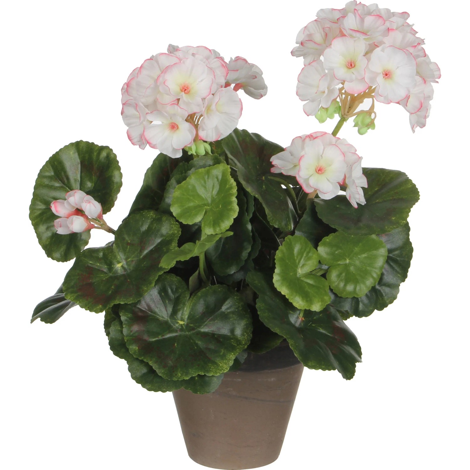 E-shop Mica Decorations Umelá pelargónia v kvetináči Stan, bielo-ružová, pr. 20 x 34 cm