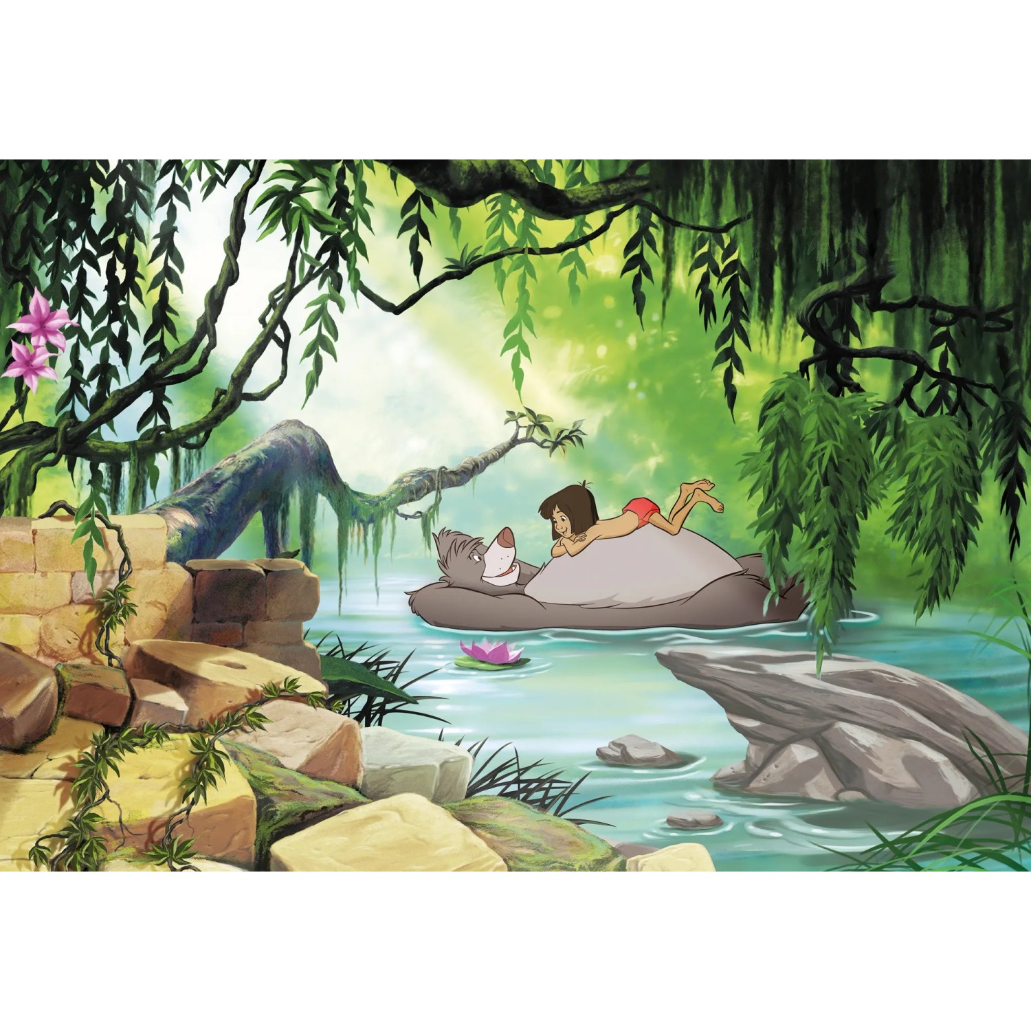 E-shop Komar Papierová fototapeta Kniha Džunglí plávanie s medveďom Baloo 368 x 254 cm