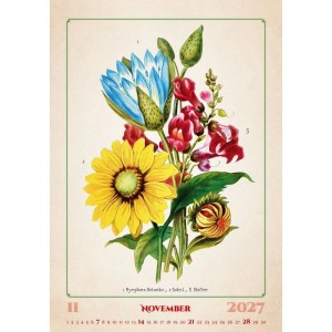 Helma 365 Nástenný mesačný kalendár 2027 Herbarium 31,5 x 45 cm