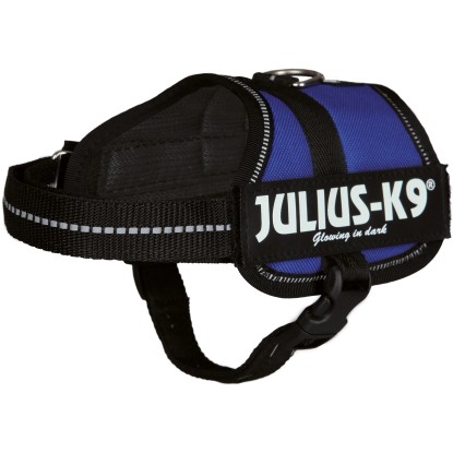 Julius K-9 Power postroj Baby 2 XS - S: 33 - 45 cm 18 mm modrý