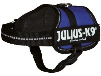 Julius K-9 Power postroj Baby 2 XS - S: 33 - 45 cm 18 mm modrý
