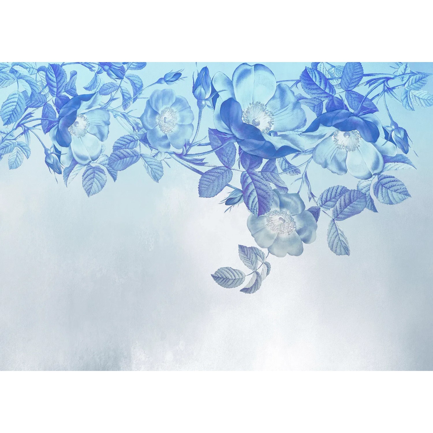 E-shop Komar Vliesová fototapeta Blue Aura 350 x 250 cm