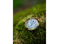 Pergart Vlhkomer s blistrom