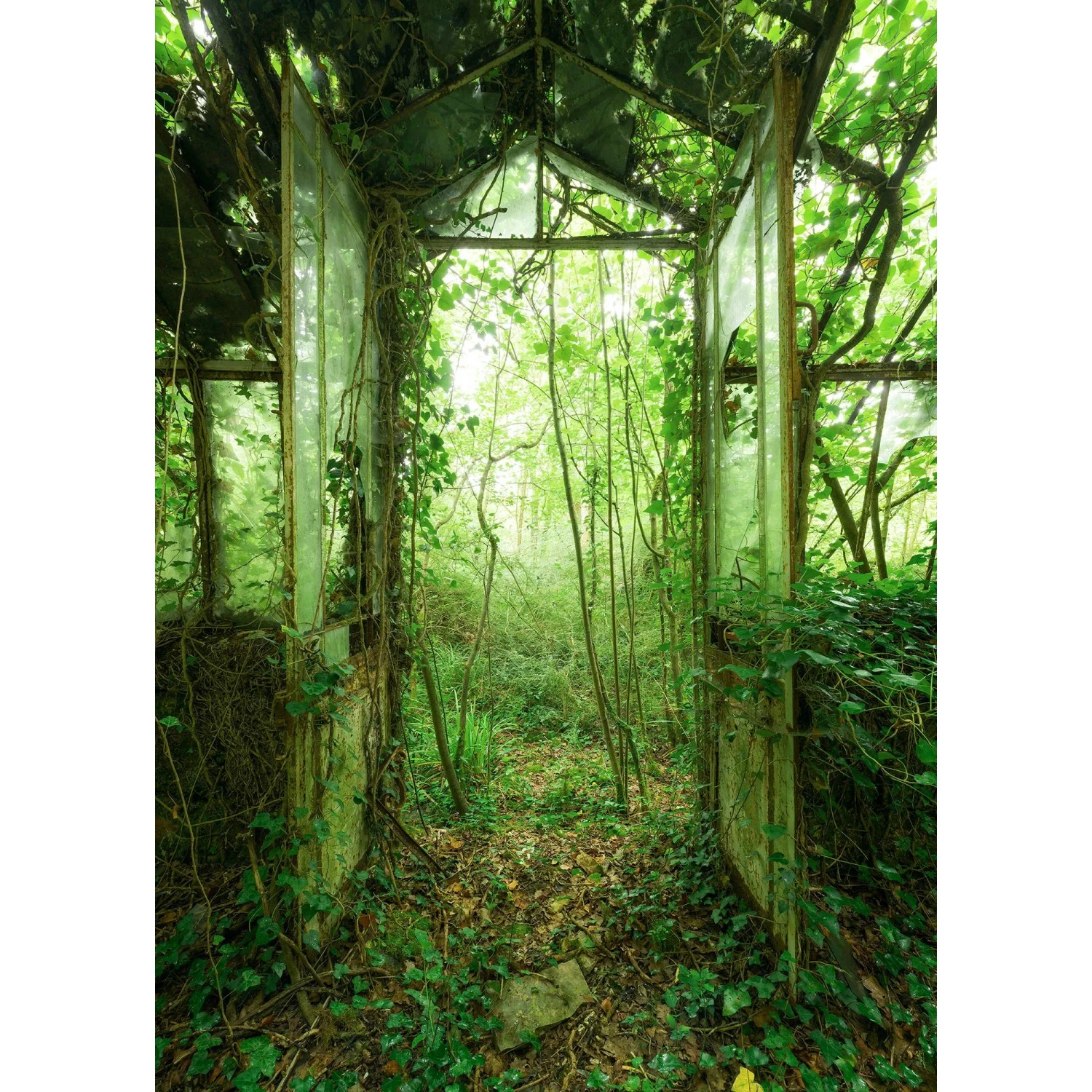 E-shop Komar Vliesová fototapeta Greenhouse 200 x 250 cm