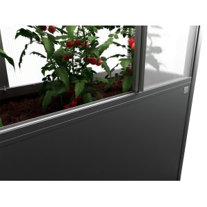 Biohort Florentina skleník pre vyvýšený záhon, 2x1 m, tmavosivá metalíza, s rastlinou paradajky.