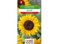 Aros Semienka Slnečnica ročná žltá (Helianthus annuus)