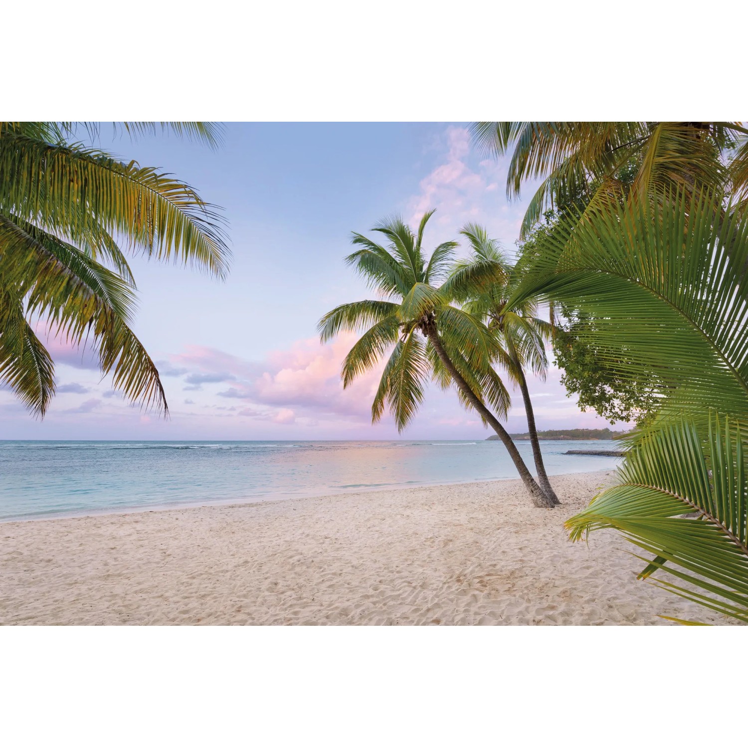 E-shop Komar Vliesová fototapeta Paradise Morning 368 x 248 cm