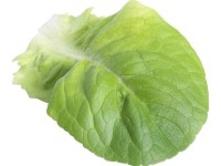 Rímsky šalát miska po 6ks