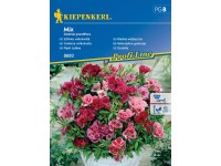Kiepenkerl Semienka Godécia veľkokvetá mix