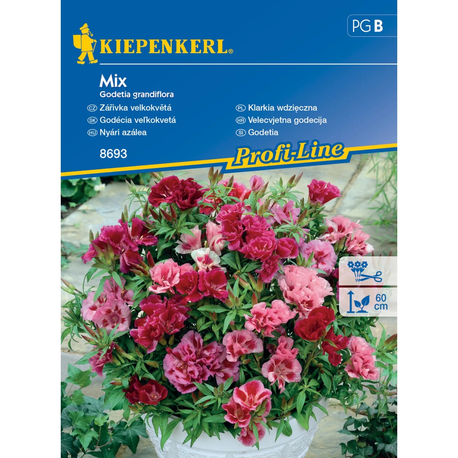E-shop Kiepenkerl Semienka Godécia veľkokvetá mix