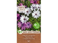 GardenSeed Premium Semienka Kapská margaréta - mix