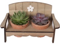 Aranžmán z echevérií Duo v drevenej lavičke priemer kvetináča cca 32 cm